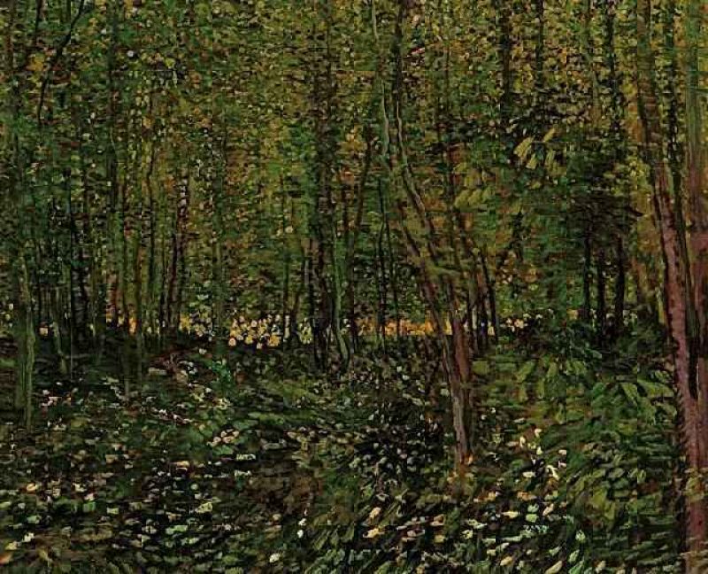 1887 trees and undergrowth.jpg